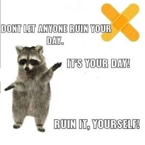 Meet your Posher, Sj